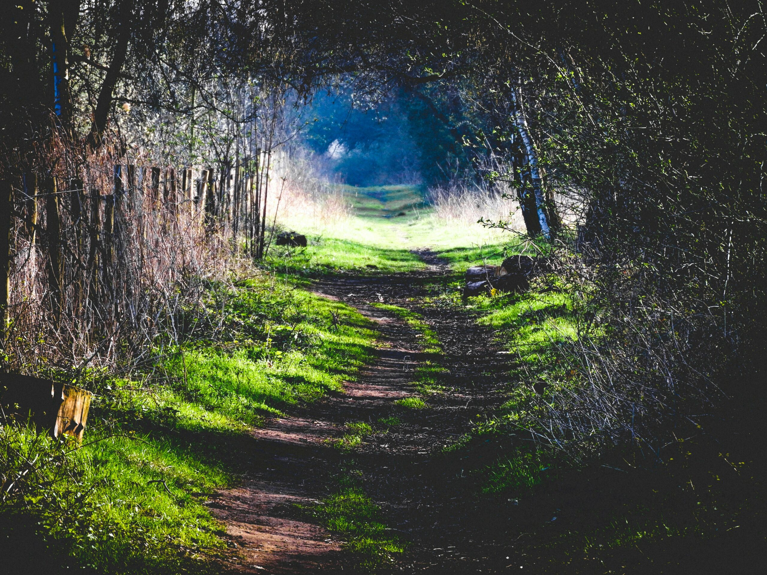 3DD9DADF-CA47-4EB9-9048-FA07B8FB5DA0